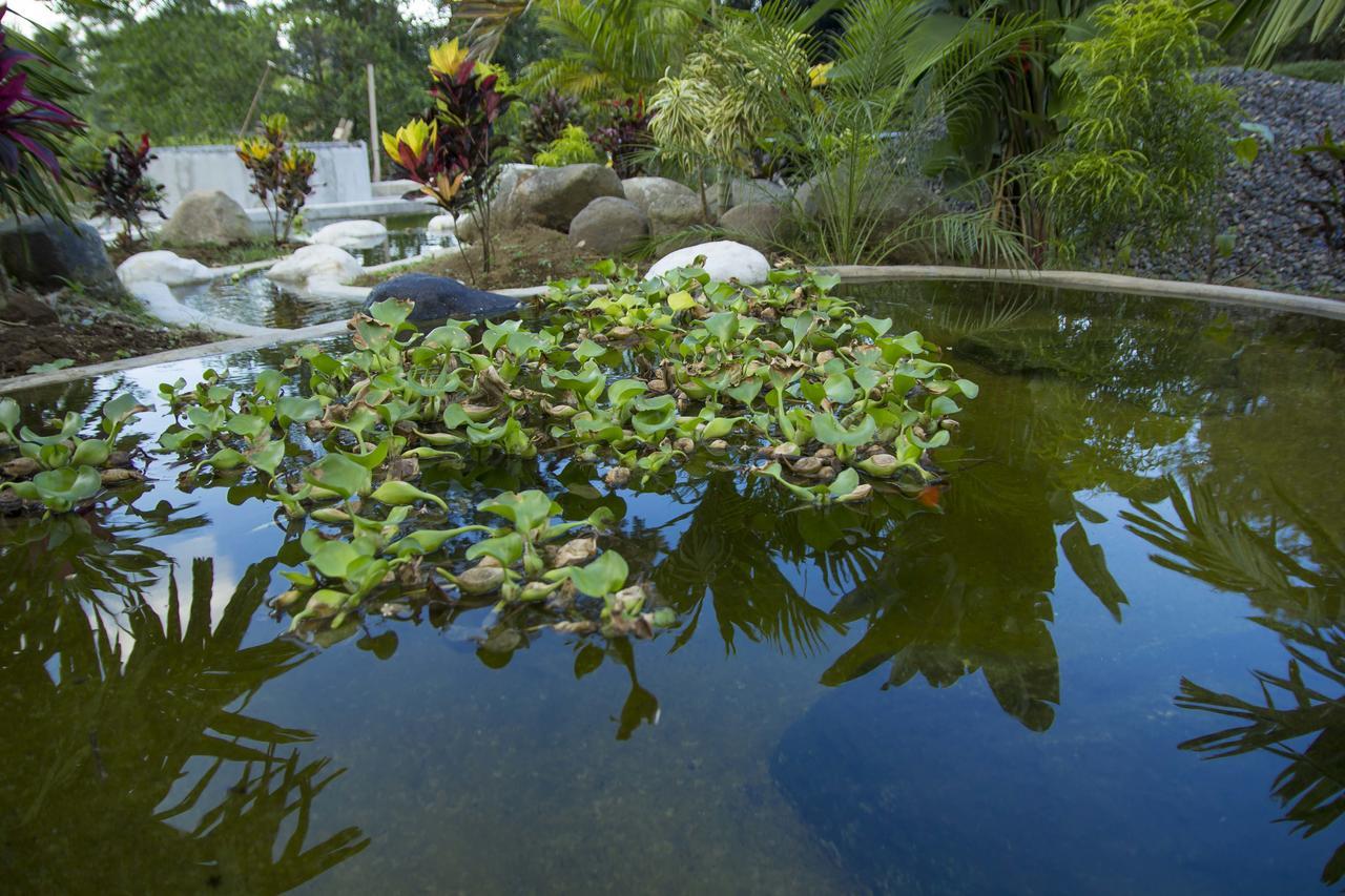 Residencias Arenal La Fortuna Luaran gambar